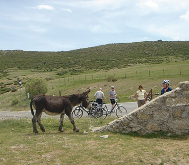 reise-news-08