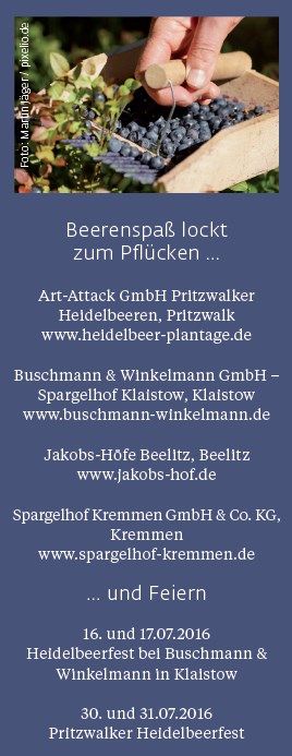 beeren-los-04