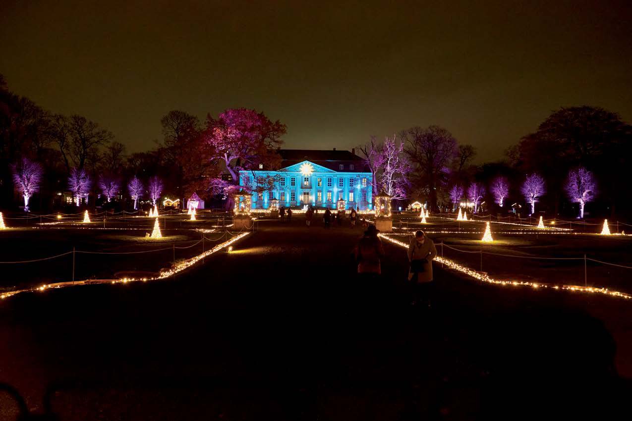 christmas-garden1