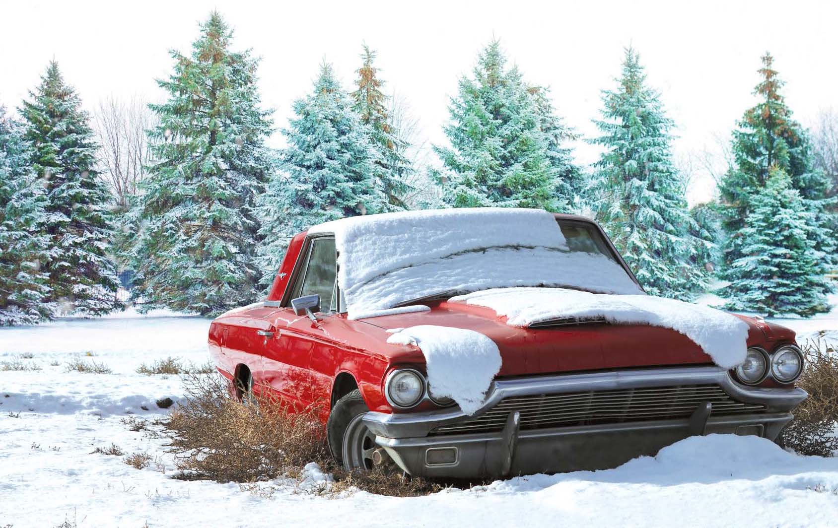 winterschlaf1