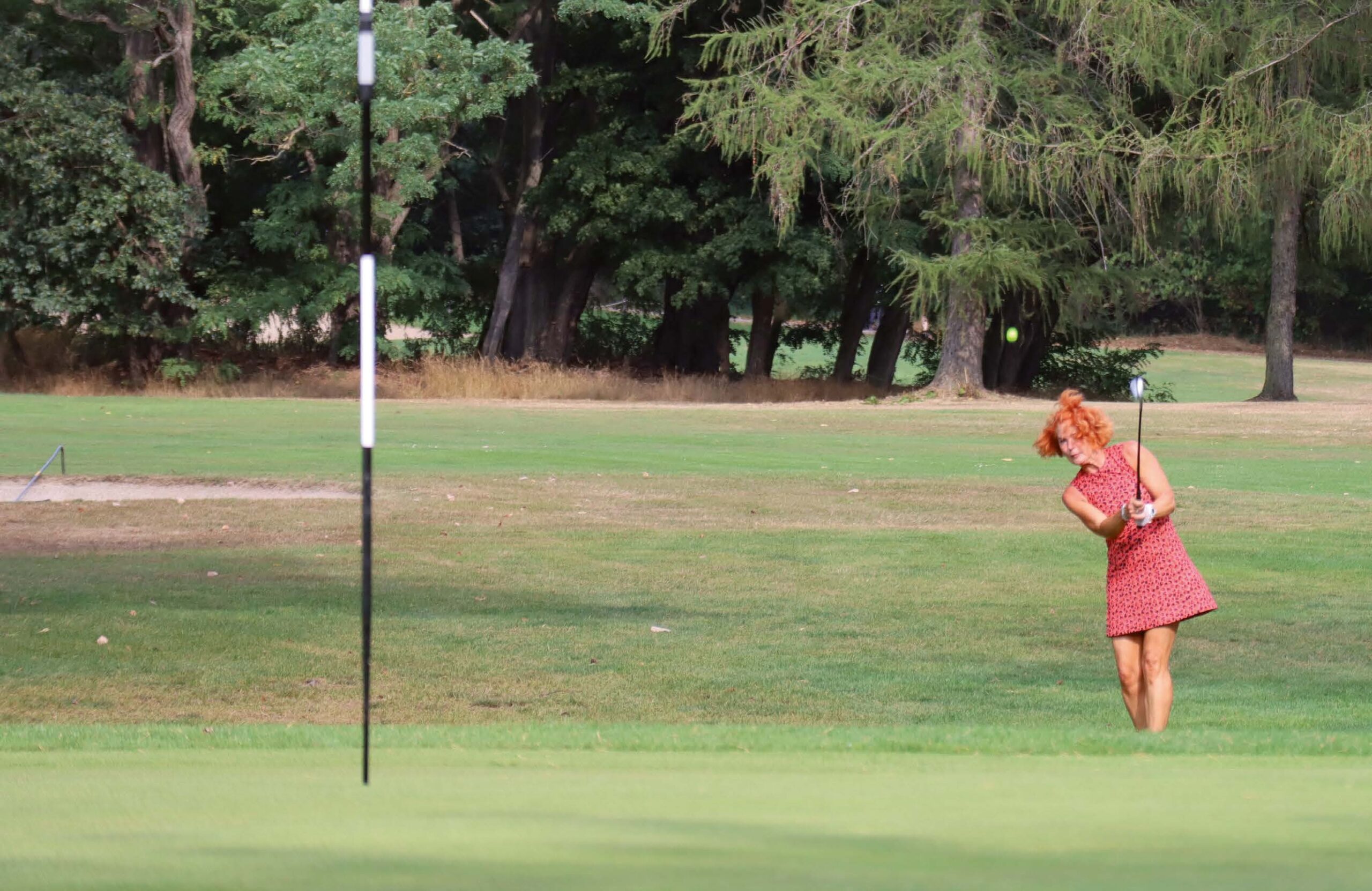 golfwoche1