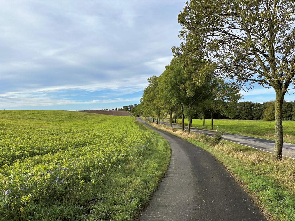 uckermark